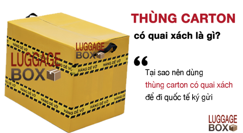 Thùng Carton Đi Máy Bay Cho Du Học Sinh & Sinh Viên - An Toàn 2026