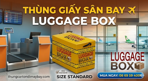 Thùng Giấy Sân Bay - Luggage Box